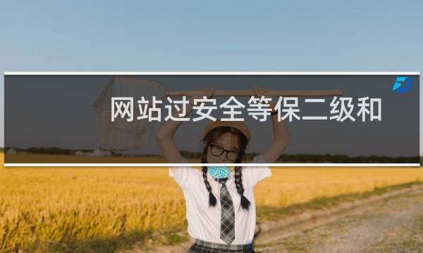 网站过安全等保二级和三级