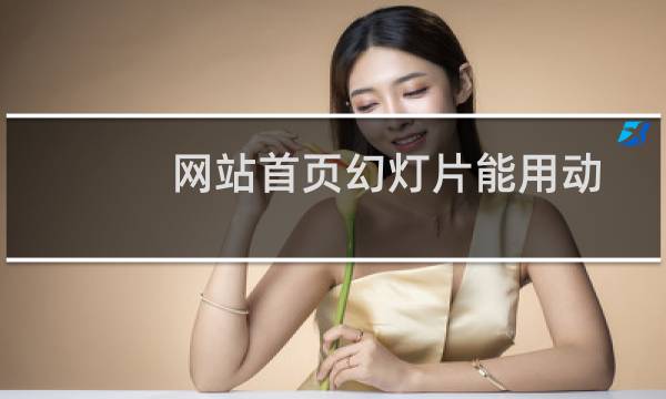 网站首页幻灯片能用动图吗