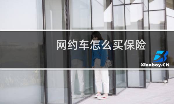 网约车怎么买保险