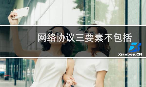 网络协议三要素不包括（网络协议三要素）图片