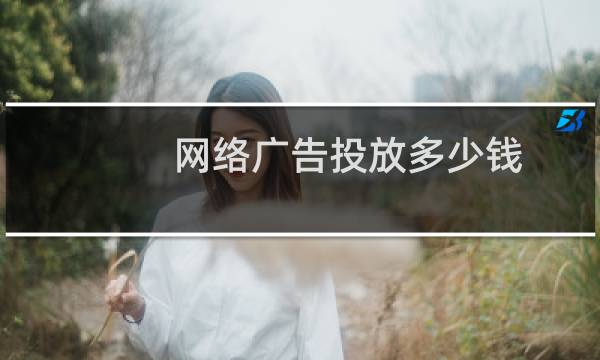 网络广告投放多少钱