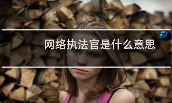 网络执法官是什么意思（网络执法官破解版）图片
