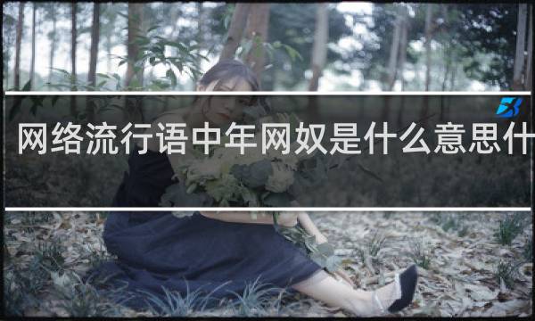 网络流行语中年网奴是什么意思什么梗