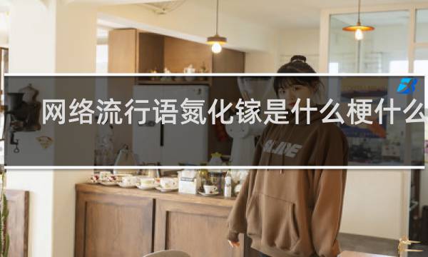 网络流行语氮化镓是什么梗什么梗