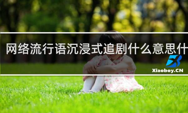 网络流行语沉浸式追剧什么意思什么梗