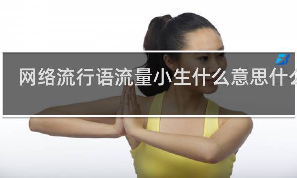 网络流行语流量小生什么意思什么梗