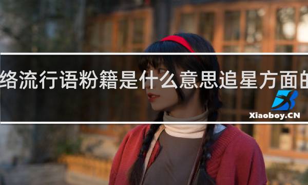 网络流行语粉籍是什么意思追星方面的什么梗