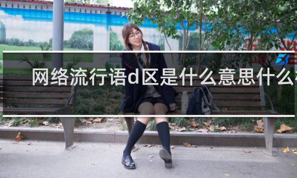 网络流行语d区是什么意思什么梗