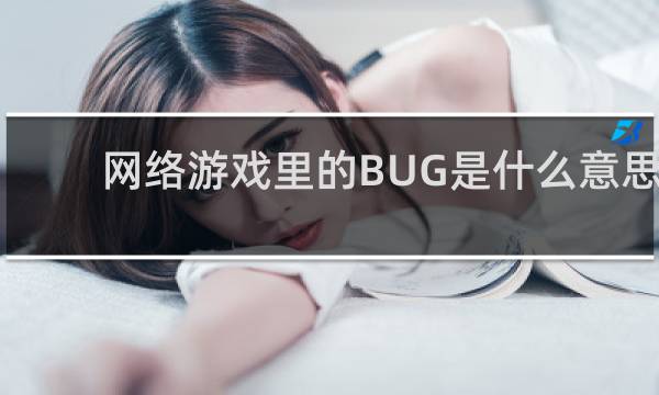 网络游戏里的BUG是什么意思