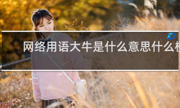 网络用语大牛是什么意思什么梗