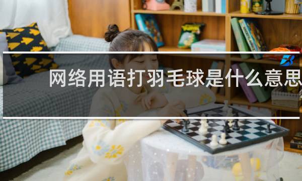 网络用语打羽毛球是什么意思