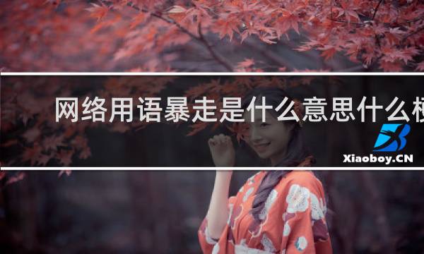 网络用语暴走是什么意思什么梗