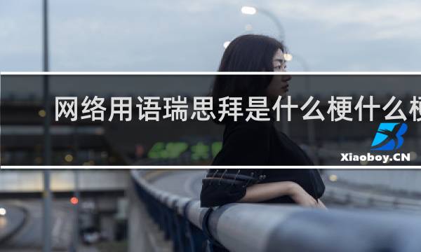 网络用语瑞思拜是什么梗什么梗
