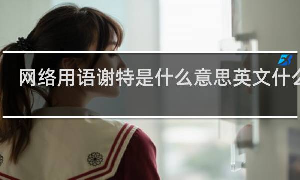 网络用语谢特是什么意思英文什么梗