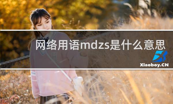 网络用语mdzs是什么意思，是什么的缩写什么梗