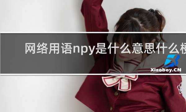 网络用语npy是什么意思什么梗