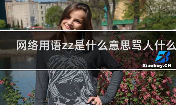 网络用语zz是什么意思骂人什么梗