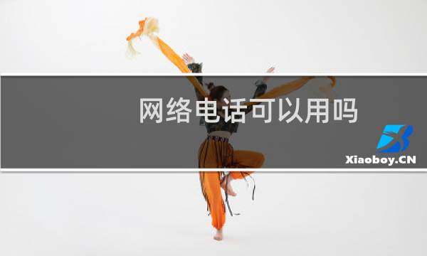 网络电话可以用吗
