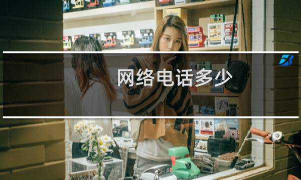 网络电话多少