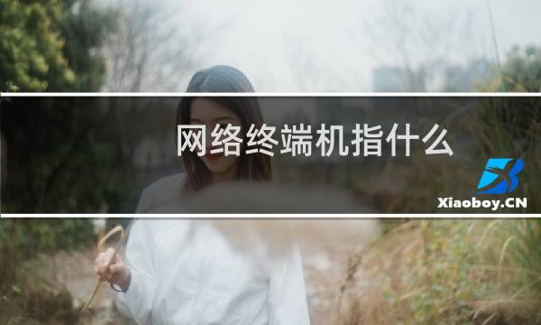 网络终端机指什么（网络终端指的是什么（网络终端有哪些））