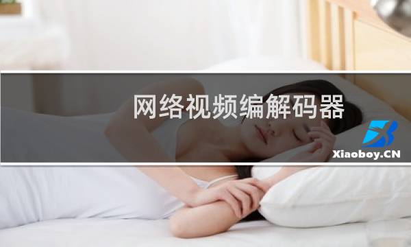 网络视频编解码器
