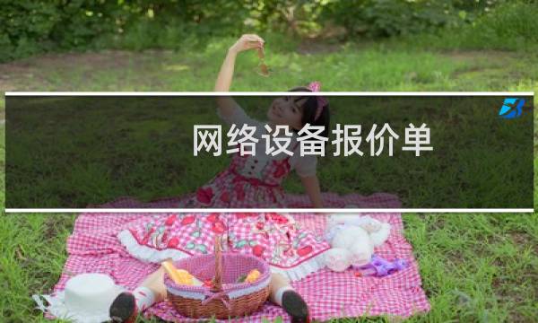 网络设备报价单图片