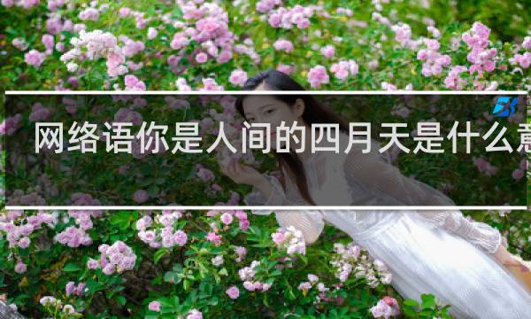 网络语你是人间的四月天是什么意思，用来比喻什么什么梗
