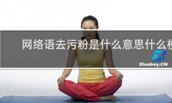 网络语去污粉是什么意思什么梗