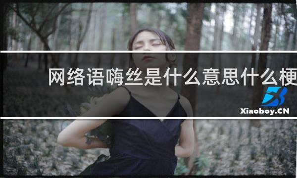 网络语嗨丝是什么意思什么梗