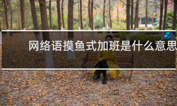 网络语摸鱼式加班是什么意思，你怎么看什么梗