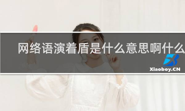 网络语演着盾是什么意思啊什么梗