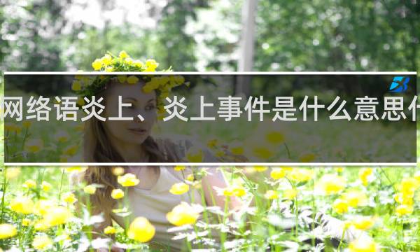 网络语炎上、炎上事件是什么意思什么梗