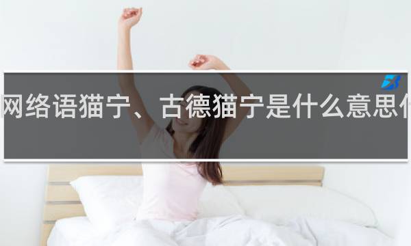 网络语猫宁、古德猫宁是什么意思什么梗