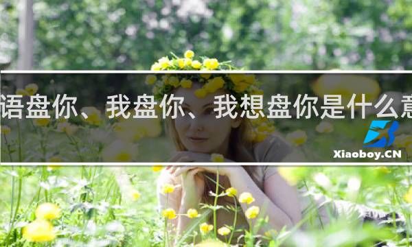 网络语盘你、我盘你、我想盘你是什么意思什么梗
