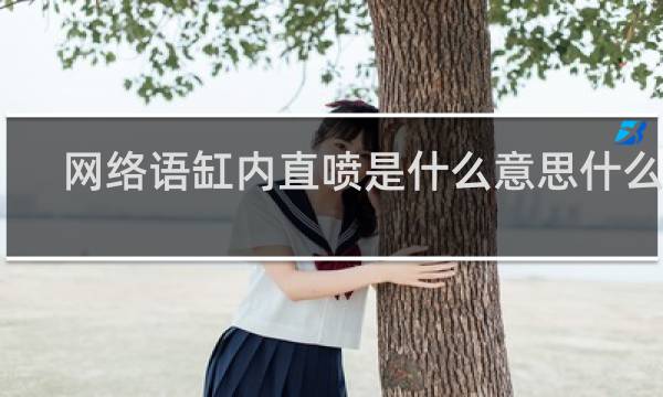 网络语缸内直喷是什么意思什么梗