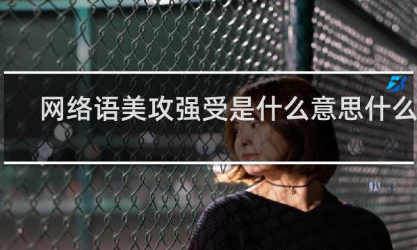 网络语美攻强受是什么意思什么梗