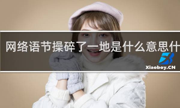 网络语节操碎了一地是什么意思什么梗