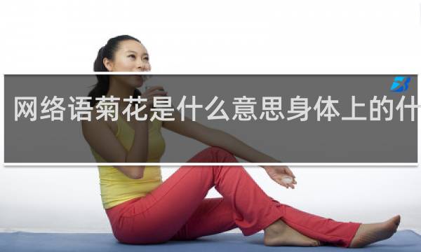 网络语菊花是什么意思身体上的什么梗