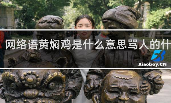 网络语黄焖鸡是什么意思骂人的什么梗