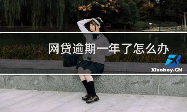 网贷逾期一年了怎么办（网贷逾期一年了怎么办）图片