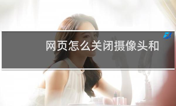 网页怎么关闭摄像头和麦克风?