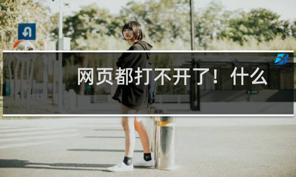 网页都打不开了！什么原因？