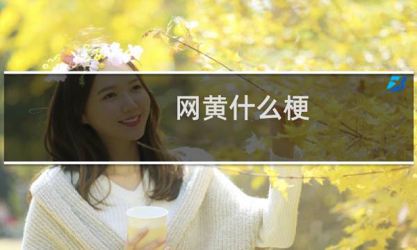 网黄什么梗