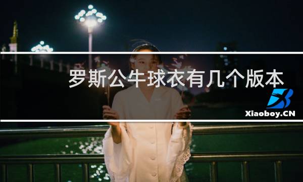 罗斯公牛球衣有几个版本