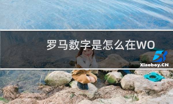 罗马数字是怎么在WORD打出来的