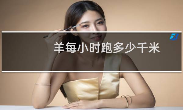 羊每小时跑多少千米