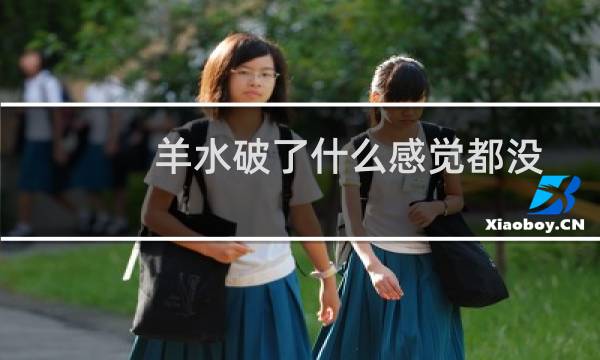 羊水破了什么感觉都没有多久才有反应(羊水破了什么感觉)