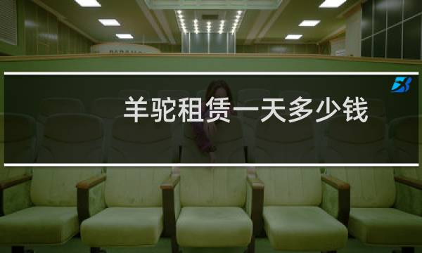 羊驼租赁一天多少钱