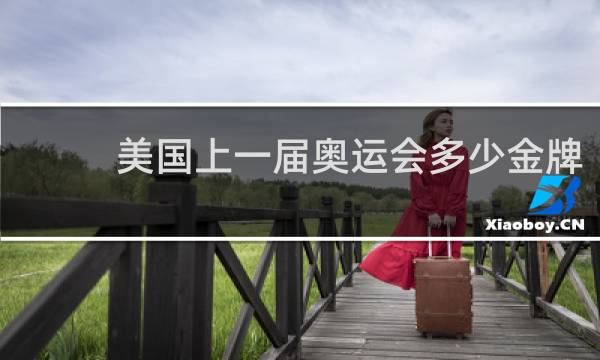 美国上一届奥运会多少金牌