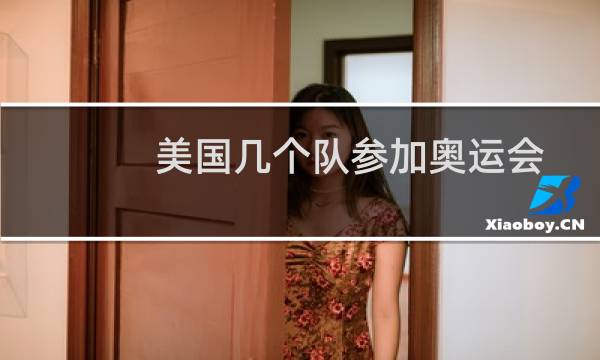 美国几个队参加奥运会